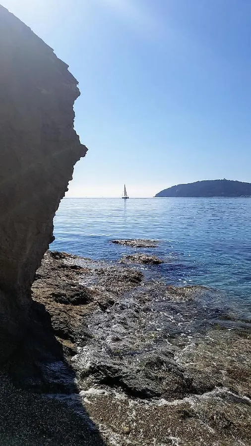 Lejlighed Studio 30 M2 500M Plages Mourillon 3 Personnes Toulon